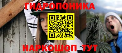 гидра Камышлов
