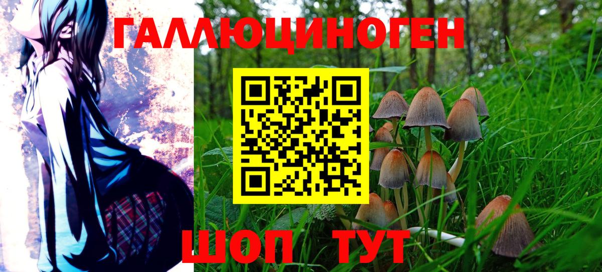 Галлюциногенные грибы Psilocybe  Вход с VPN  как найти закладки  Кубинка 